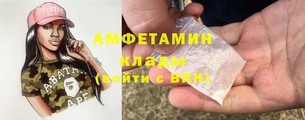 амф Алексин