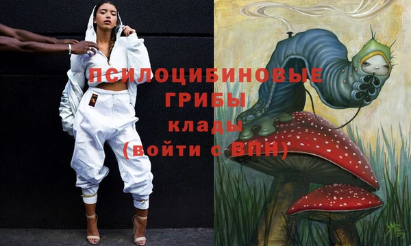 амф Алексин