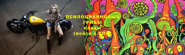 тгк Алексеевка