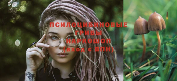 тгк Алексеевка